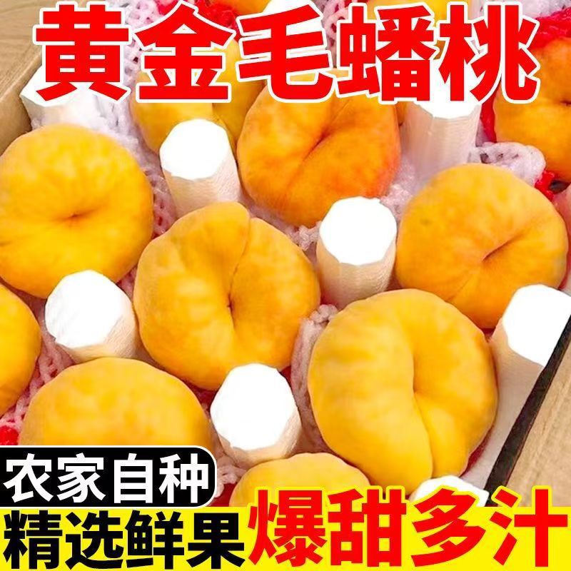 Peaches, Hairy Yellow Peaches, Butter Peaches, Yellow Nectarines, Watermelon Peaches, Fruits for Pregnant Women, 2.5kg Fruits for Wholesale
