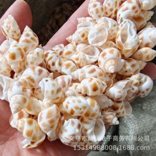 ��ז|�L�� ��Ȼؐ������ �����ֹ�diy���� �Ʒ����朒�����