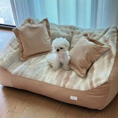 春と夏のアイスビーンペットソファペットベッド大型犬小屋完全に取り外し可能で洗える秋と冬プラスベルベット犬ベッド犬ソファ