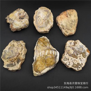 ��Ȼľ��ʯ��Ƭľ����ԭʯ�����ʯ���|�L��Ƭ�V��˱��[��