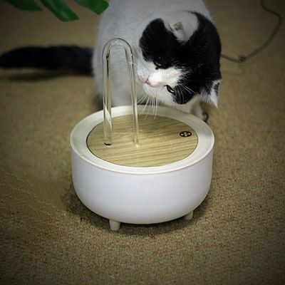 貓咪喝水飲水機流動寵物貓用狗狗喂水器自動循環離水斷電廠家批發