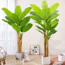 ����Gֲ������ذŽ��������҃ȑ����b[����ֲ���㽶���辰