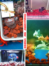 天然火山石颗粒精筛洗养多肉颗粒土兰花铺面鱼缸腾冲过滤材云