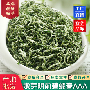 2026�²���ǰ�ؼ���ѿ���ݴ�AAA�紺��ѿ���~�G��ɢ�b�����͹���