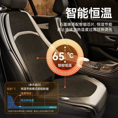 Heated Car Seat Cushion 12V24V Multi-function pad