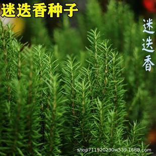 �Ե���N�Ӻ���֮¶��ʳ�����ֲ��N�Ѷ������ļ���������ﲥ