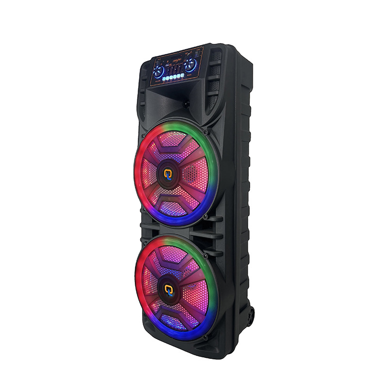 Productos explosivos transfronterizos dobles 12 pulgadas 60W altavoces al aire libre amplificador de boda Bluetooth con micrófono inalámbrico LED de color