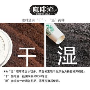Active Formaldehyde Dregs Deodorization Taste Deodorization Odor Sun-dried Ashtray Cigarette New House Gram Deodorization Coffee Live