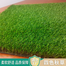 �羳�S�ҷ����ƺ���l��ɫ������������������Ӻ���ܲ�ƺ���l