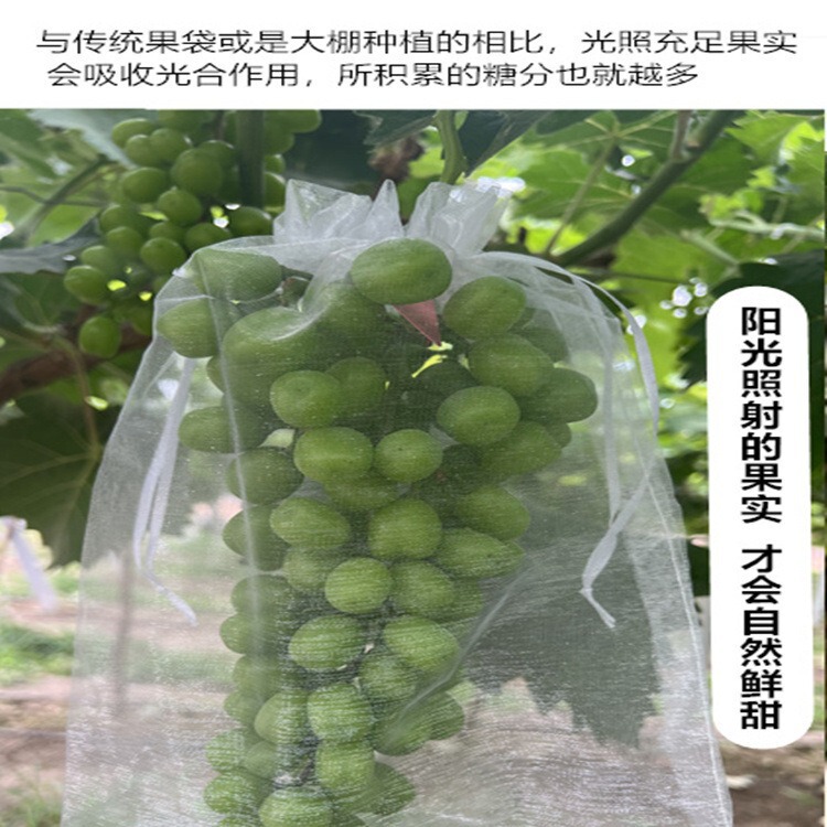 果樹袋防虫防鳥袋いちごいちじくザクロブドウトマト保護果実専用糸ネットカバー|undefined