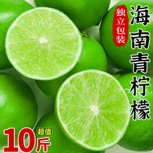 新鲜海南青柠檬10斤小青柠当季水果薄皮香水奶茶整箱批发批发