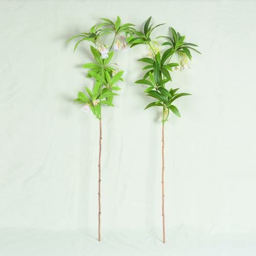 Simulated water stone fig flowers and leaves Nordic green plants small fresh feel plant decoration ornaments wedding photography landscaping fake flowers