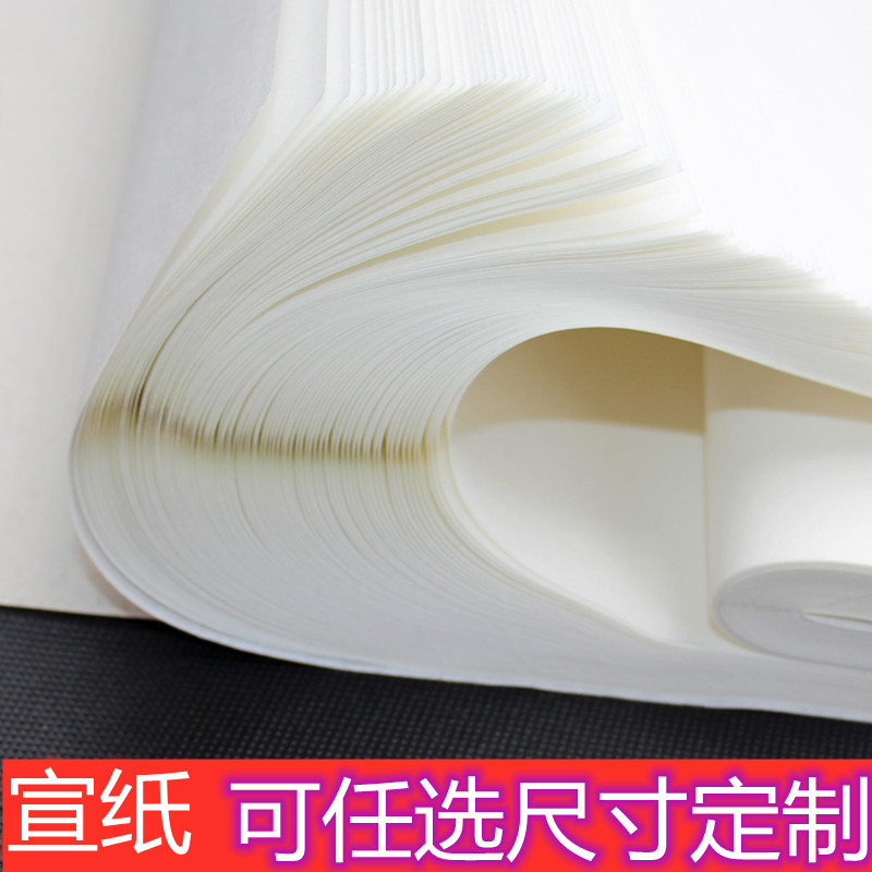 宣纸半生半熟生宣书法作品纸熟宣国画工笔画毛笔字练习初学者定制