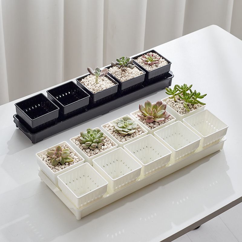 种多肉植物的花盆组合塑料创意精致小白方带托盘透气一体控根专用|undefined