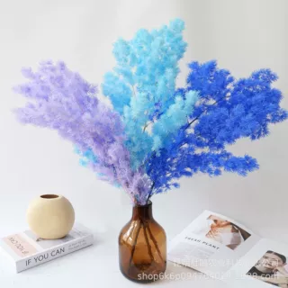 跨境永生蓬莱松干花 永生花配草 家居插花DIY原材料花店装饰花材