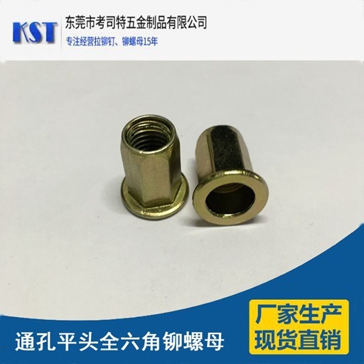 平头六角铁拉帽螺母  碳钢镀锌 蓝白锌彩锌 通孔平头全六角铆螺母