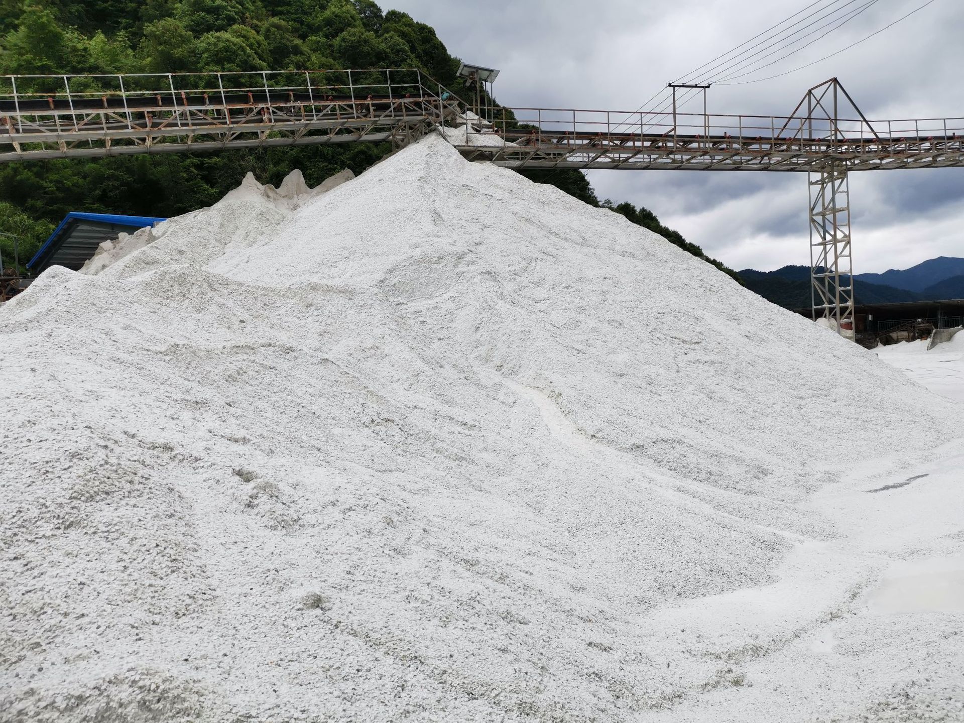 17607302191_265531942