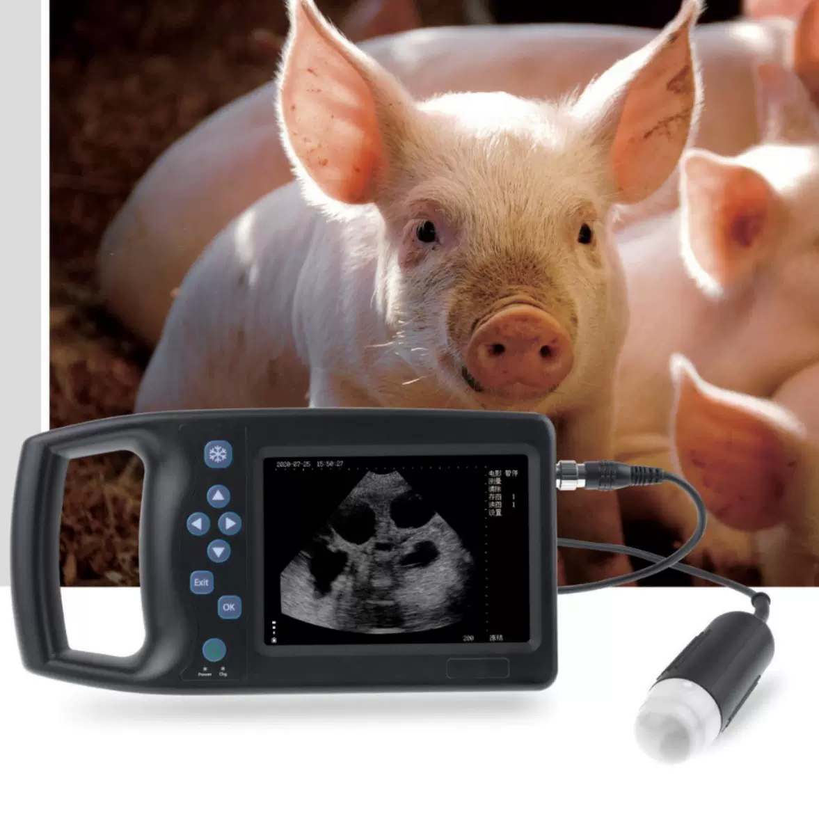 兽用B超诊断仪便携式动物超声宠物医院养殖场专用背膘怀孕检测