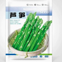 一件代发芦笋根苗带土芦芛种苗卢笋种植苗庭院种根种籽阳台盆栽绿