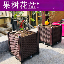 ���ٗl����Nֲ���̨�N�����피Ӻ��߲˷Nֲ���ۼ��÷N�˷��λ�