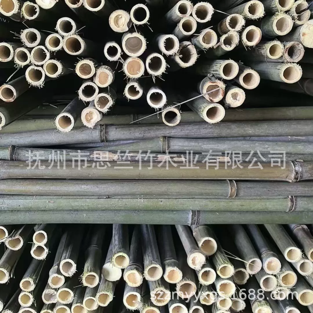 竹竿批发 户外搭架爬藤竿架山药枸杞淮山辣椒搭架竹子 果树支撑杆