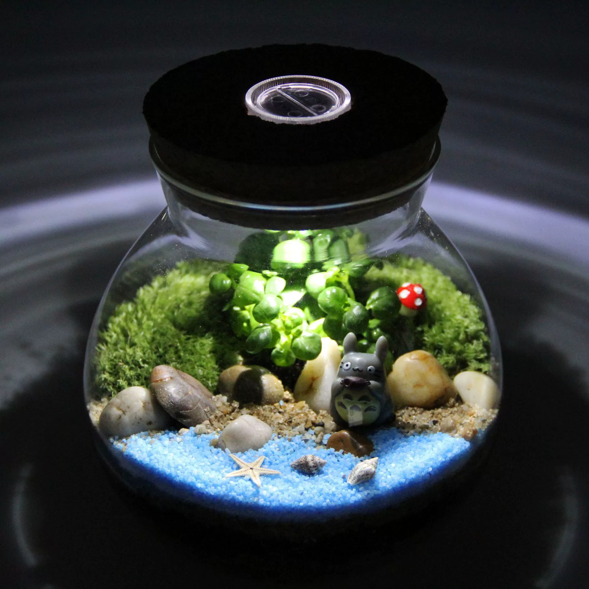 Мох микро пейзаж креативные подарочные украшения в горшке бутылка из Моха экологическая Бутылка 13,5 пробка с лампой костюм