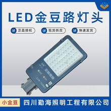 上海亚明照明金豆款路灯头40W 50W 100W新农村IP65防水户外照明