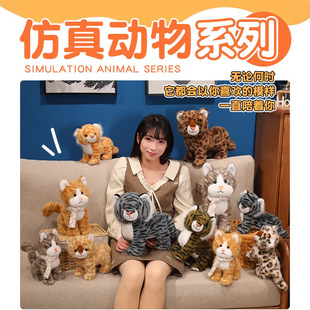 �羳�������ë�q��߹��Д[��؈�����ϻ��������նY��ɳ�l���[��