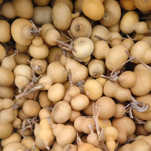 天然手捻文玩葫芦4-6厘米把玩葫芦迷你手把件把玩地摊练手素葫芦