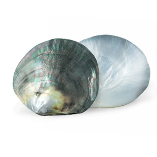 ��Ȼؐ������ڵ�ؐ�S��ؐ ؐ����ˇƷ����ؐ���b� ؐ�����l