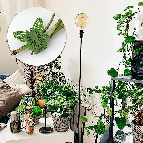 813yiThWndL._AC_SX569_