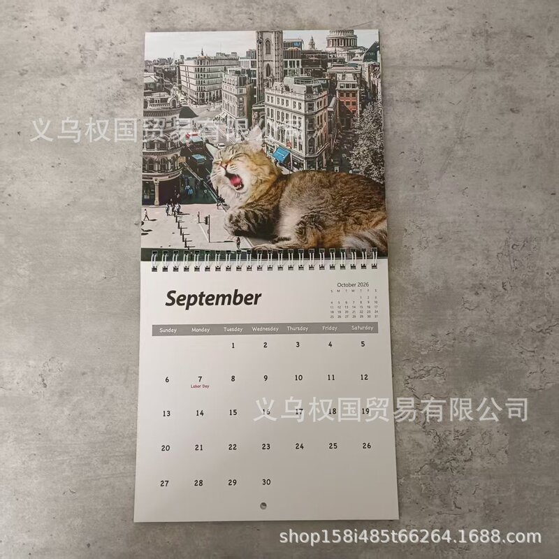 2026 Abstract Magical Cat Calendar 2026年抽象魔法猫日历挂历|undefined