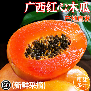 �V���t��ľ�����rˮ����������10�خaţ�̘�����ܛŴ������