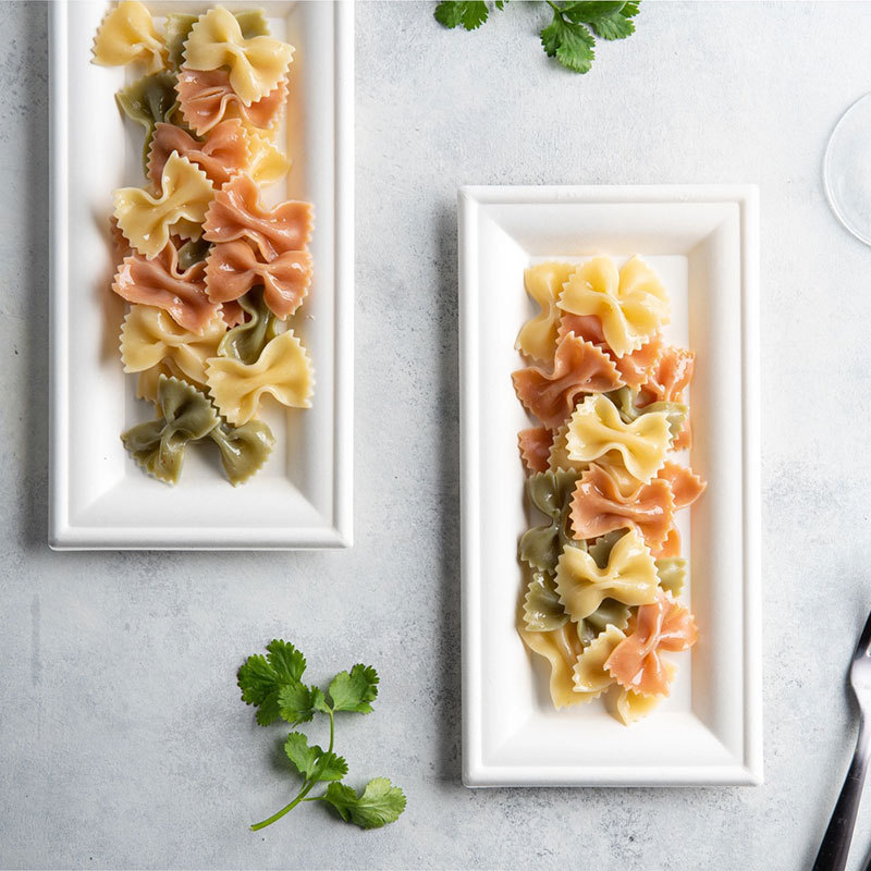 50-Piece Set of Disposable Rectangular Barbecue Plates Made from Sugarcane Pulp, Suitable for Cakes and Desserts, Eco-Friendly and Biodegradable