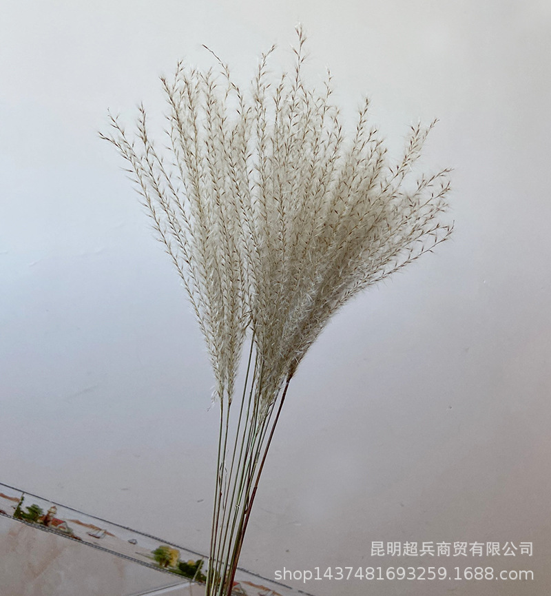 QQ图片20211106150800.jpg