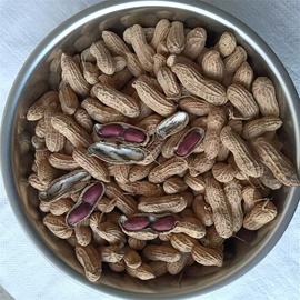 豆类;麦类;面粉