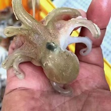 ��ȥ���~����צ�~���ƤС���~�}ĥ�ɱ���ȥС���~Դ�^һ��؛Դ