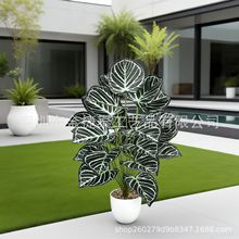 �羳���`���滨�Gֲ-�����Z���q�~�ָ��z�~�辰�҃ȼҾӿ͏d