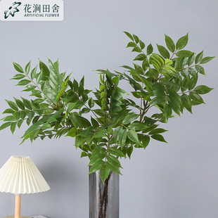 ����ֲ�� �㴻�� ��c���滨�Ҿӻ�Y�Ƶ�ܛ�b��̲廨�[�����l