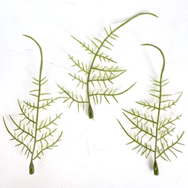 仿真花;仿真绿植;仿真蕨类