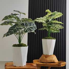 高档仿真绿色假花叶子大把束龟背室内仿生植物背景造景墙装饰摆件