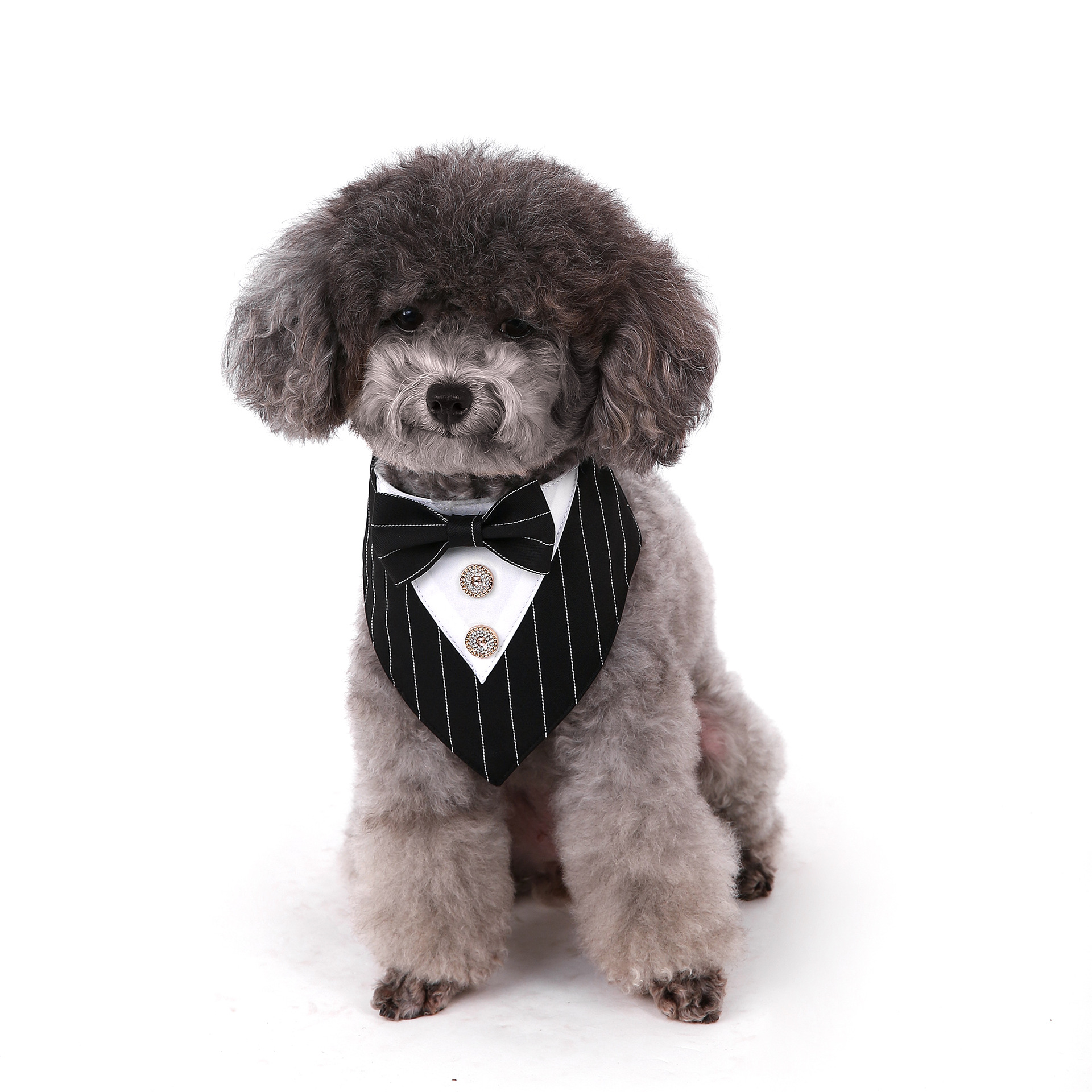 Navidad Año Nuevo Spot transfronterizo boda británica trajes toallas para mascotas bufandas perros velcro toallas para mascotas triángulos