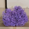 Blue purple about 400-500g/bubble