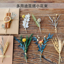 С�����Y��ɻ��滨�M�����b��ػ��ŷ�Ո�����ϲ�����I������