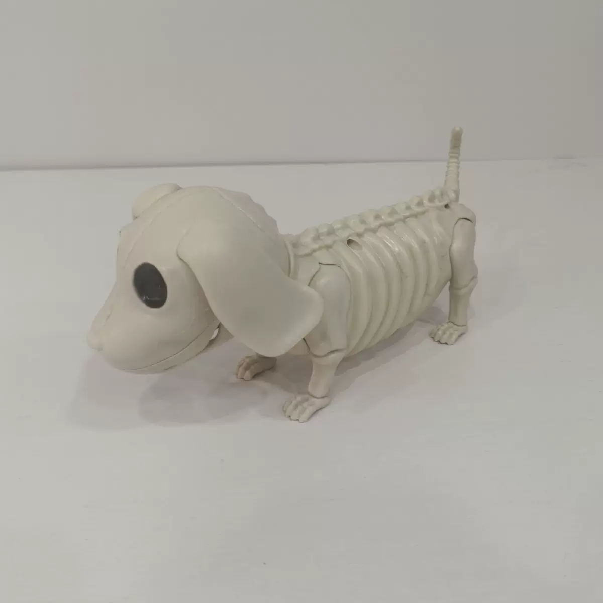 万圣节新款仿真动物小腊狗猫狗模型摆设道具恐怖骨架鬼屋布置道具