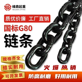 起重葫芦;起重链条;起重装卸设备