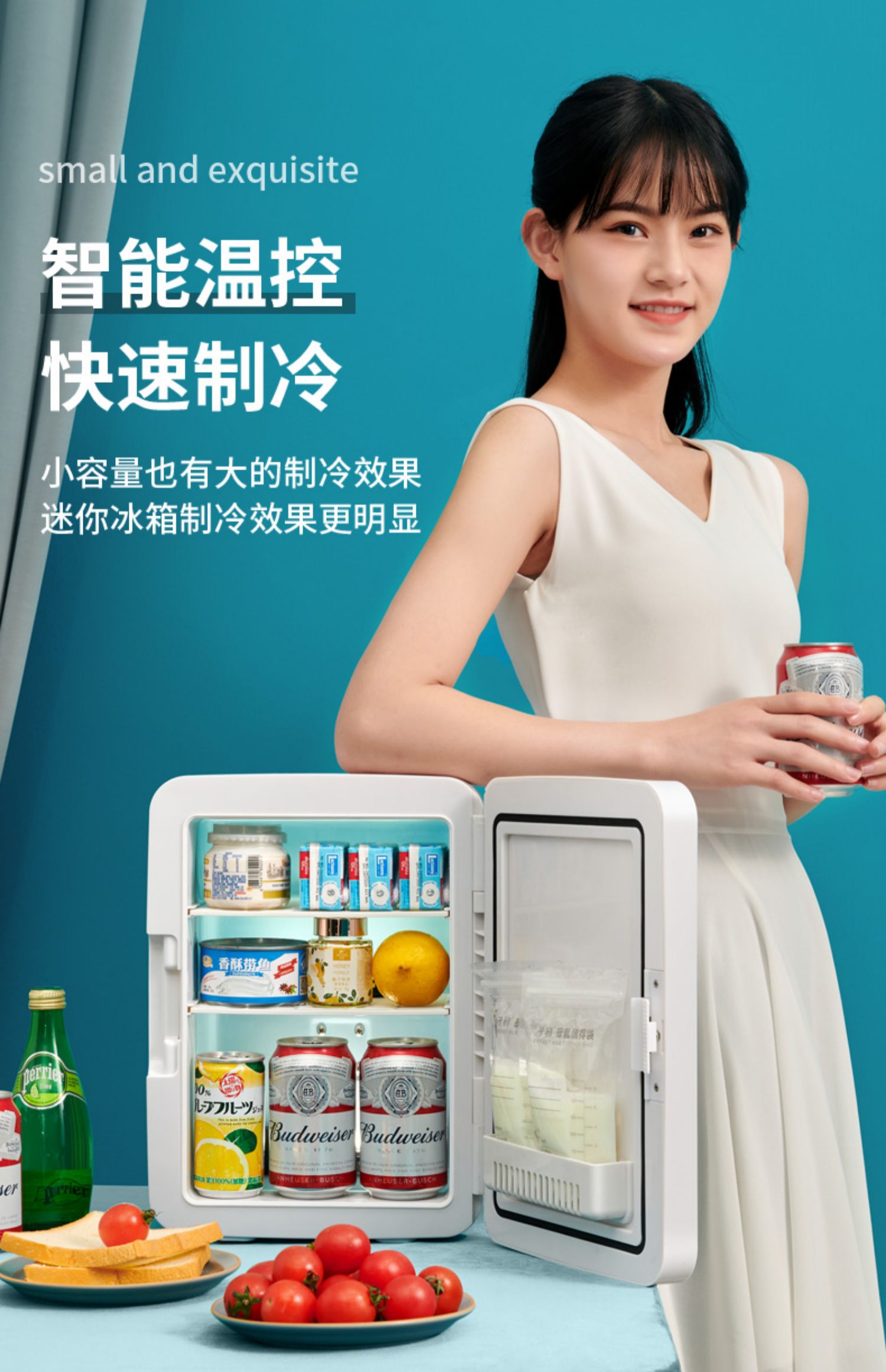 Mini refrigerator energy saving low energy consumption mini drug storage car compressor cosmetics storage car refrigerator
