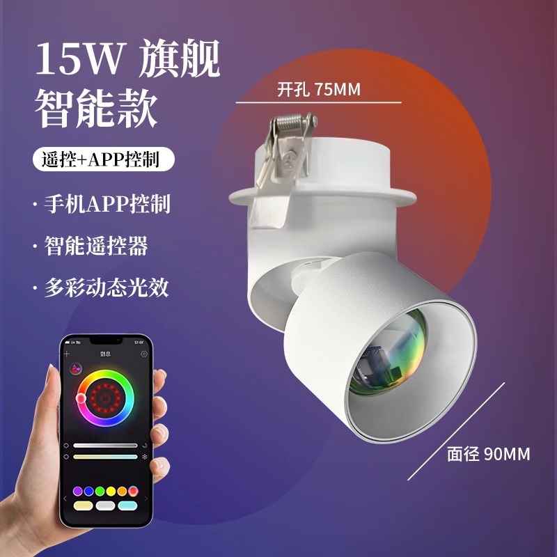 [Embedded] super luxury -15 watts-flagship smart version