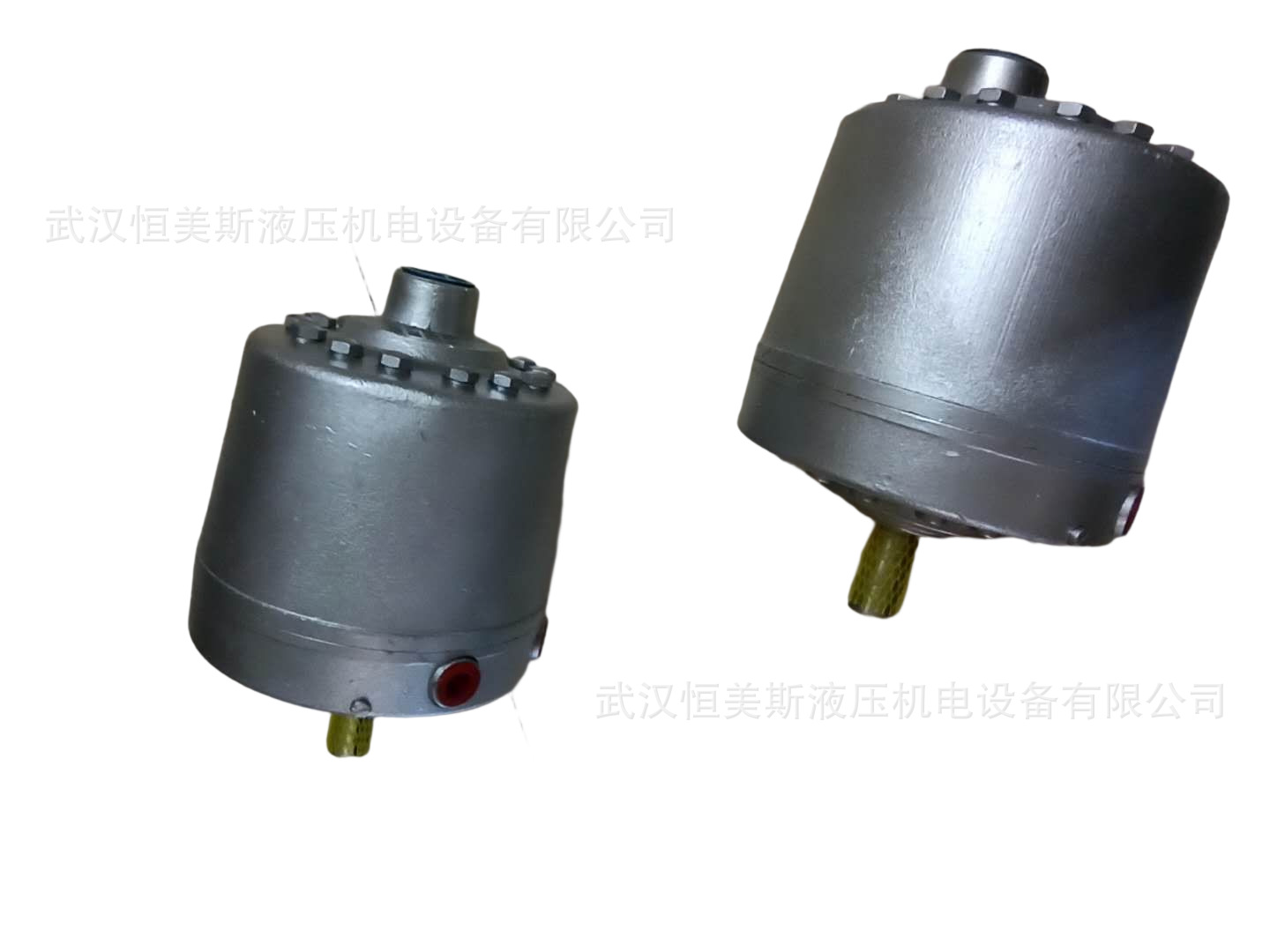 德国HAWE哈威柱塞泵V80M-200LDMN-1-1-XX/LSNB-2-400C313-Z05