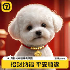 新款宠物长命锁项圈猫咪狗结婚喜庆金色国风项链红绳平安锁项链